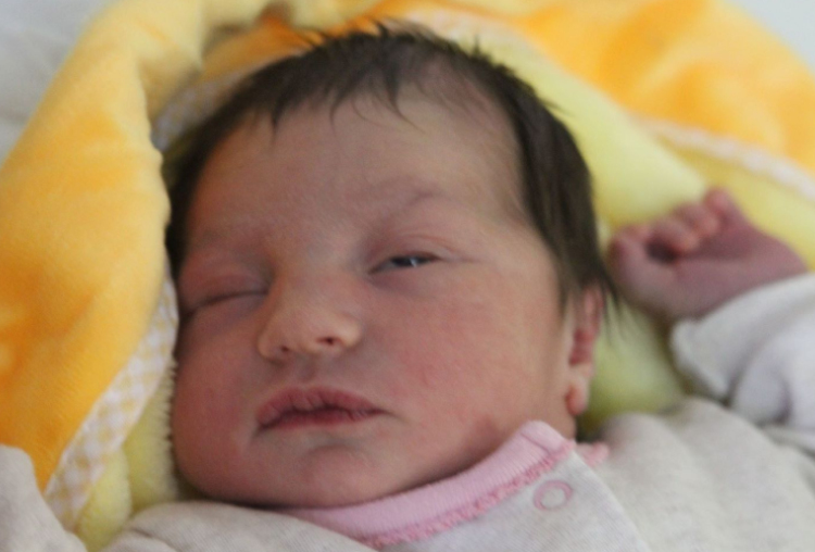 Kovács Júlia Nóra 