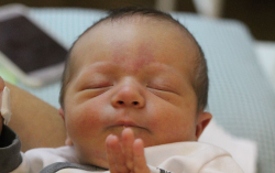 Németh Bálint Gergely 