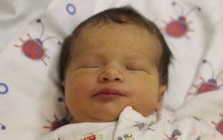 Kovács Bence Zalán 