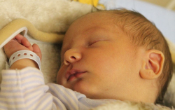 Káldy Levente Sándor 