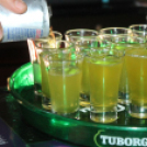 2015.01.02.Mamma Mia Video disco Dj:Hubik & Solymi konga Fotók:árpika