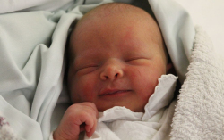 Brulich Hajnalka Nóra 