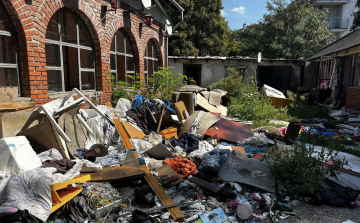 Évtizedes probléma oldódhat meg