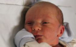 Vajda Botond Barnabás