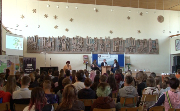 Bezöldült az iskola