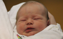 Hoffer Hanna Krisztina 