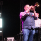 2017.08.18. Győri Augusztus 20. 1. nap Fotók:árpika 