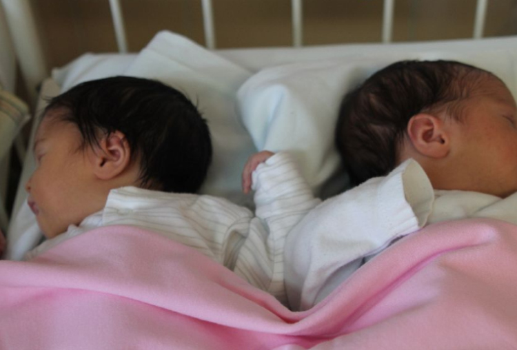 Sipőcz Abigél,Sipőcz Ábel István 