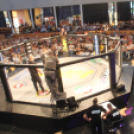 2015.05.09. Profi MMA Gála fotók:árpika