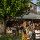 Mackó Kuckó jótékonysági evőverseny és 5. születésnap