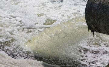 Ezt ne húzd le a wc-n