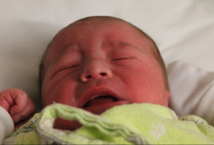 Horváth Dávid Balázs 