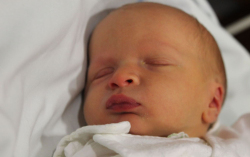 Venczel-Kovács Zalán 