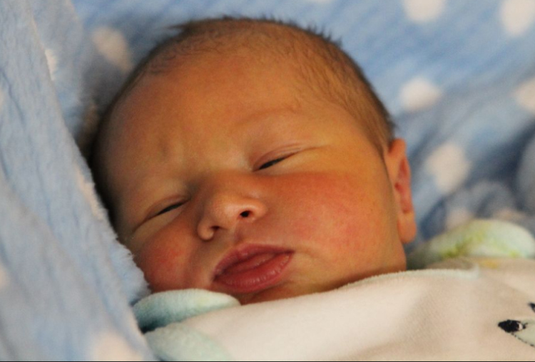 Both Balázs Bulcsú