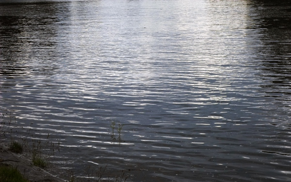 Jelentős vasúti késések, járatkimaradások a Duna áradása miatt