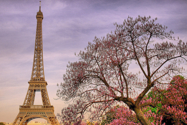 Négy újabb európai városba indít járatot a Volánbusz