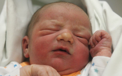 Kókai Levente Milán 