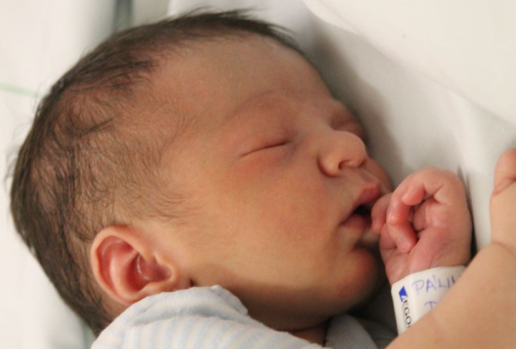 Pálinkás Dominik Zoltán 