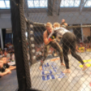 2015.05.09. Profi MMA Gála fotók:árpika