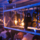 Club Vertigo - LET'S DRINK 2015.10.24. (szombat) (Fotók: MikeD.)