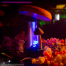 Magic Friday Party 2014.04.11. Péntek