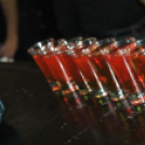 2014.12.27 Mamma Mia FellHarmonX @ Solymi Konga Dj:Balage Fotók:árpika