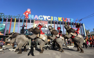 Ajándék cirkuszjegy a kitűnő bizonyítvány mellé