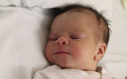 Bogdán Mónika Melóri