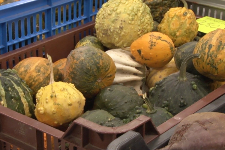 Hamarosan indul a tökszezon a piacon