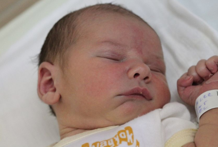 Tischler Bálint Noel 