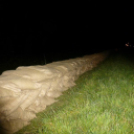 Olvasónk képei az árvízi védekezésről