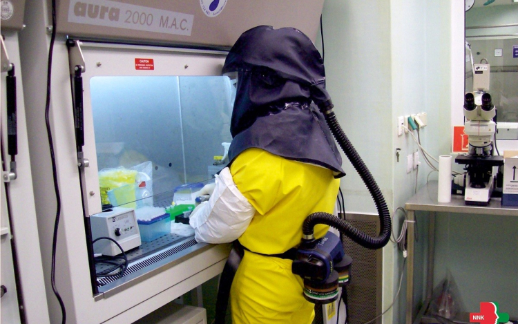 Koronavírus: Tudományos konzorcium alakult passzív immunitás céljából