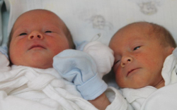 Kálmán-Göndöcs Hunor és Arnold 