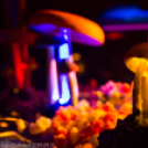 Magic Friday Party 2014.04.11. Péntek