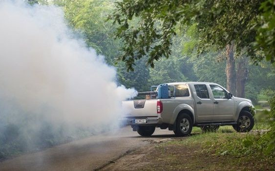 Folytatódik a földi kémiai szúnyogirtás Győrben