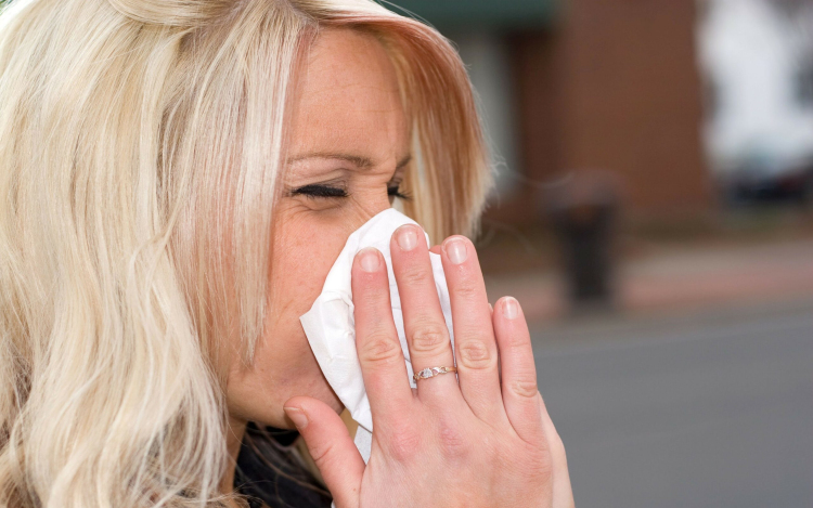 Győri pollenhelyzet: aki a fenyőfélékre érzékeny, nehéz napokra számíthat