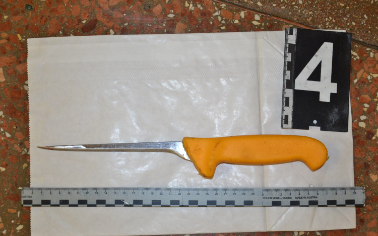 Megölte lakótársát a töltéstavai szociális intézményben 