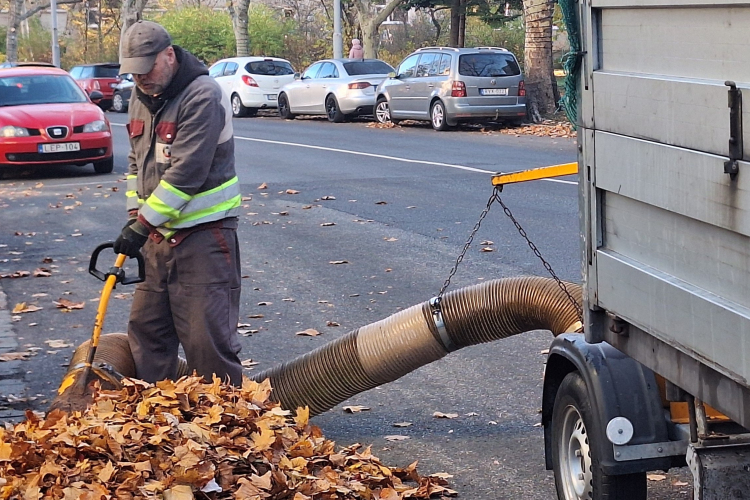 Folyamatos a lombgyűjtés Győrben