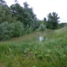 Olvasónk képei az árvízi védekezésről