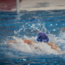 Vízilabda világbajnokok Győrben - photo Gombás Ákos