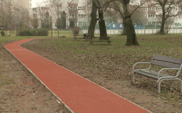 Rekortán pályán lehet futni a marcalvárosi Kiserdőben