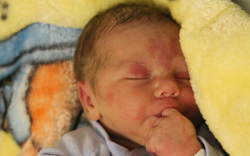 Simon Krisztián Zoltán 