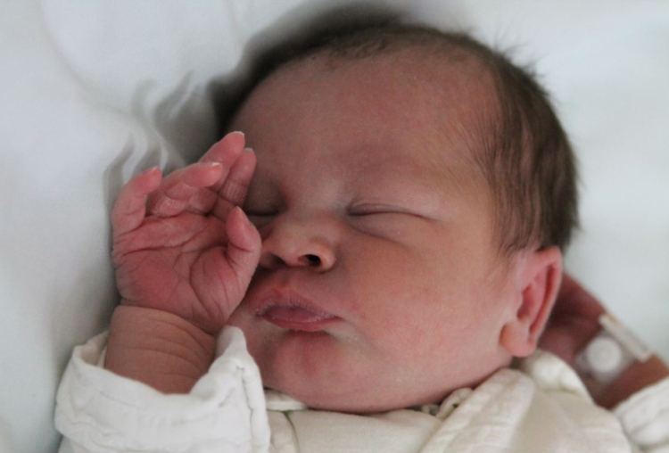 Kiss Nikolasz Kristóf