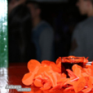 04.23. Lapos Party - Antonyo