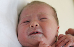 Berta-Somogyi Lili Jane 