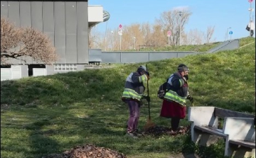 Az Aranypart már tiszta, itt a tavasz
