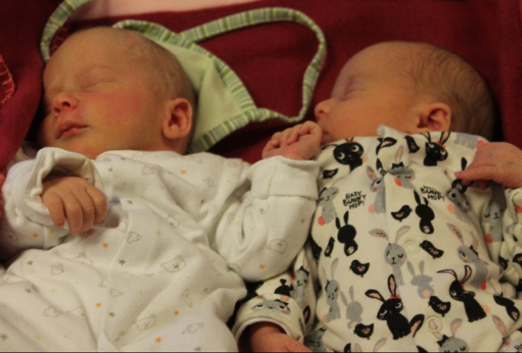 Somogyi Luca Sára és Patrik Döme 