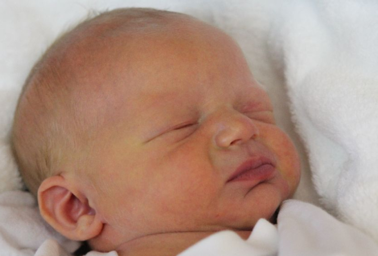 Győri Gergő József 