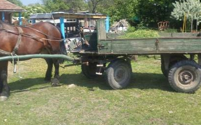 Lovaskocsi és tehergépkocsi ütközött 