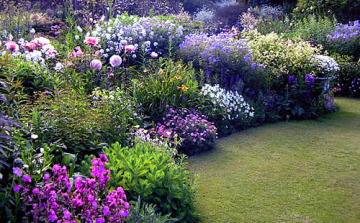 FOLYTATÓDIK A KÖRFORGALMAK NÖVÉNYZETÉNEK MEGÚJÍTÁSI PROGRAMJA